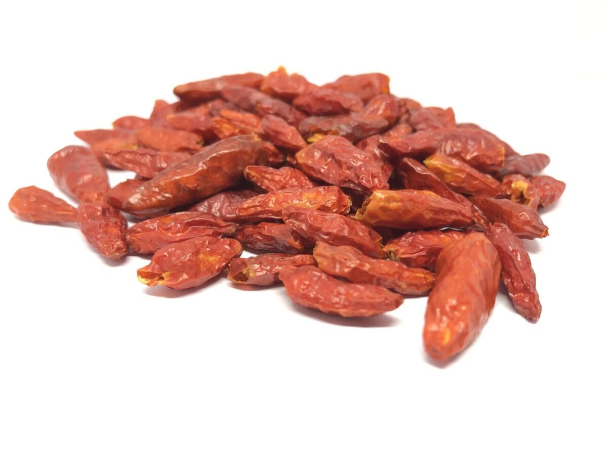 African Bird's Eye Chili / Peri-Peri (Capsicum frutescens)