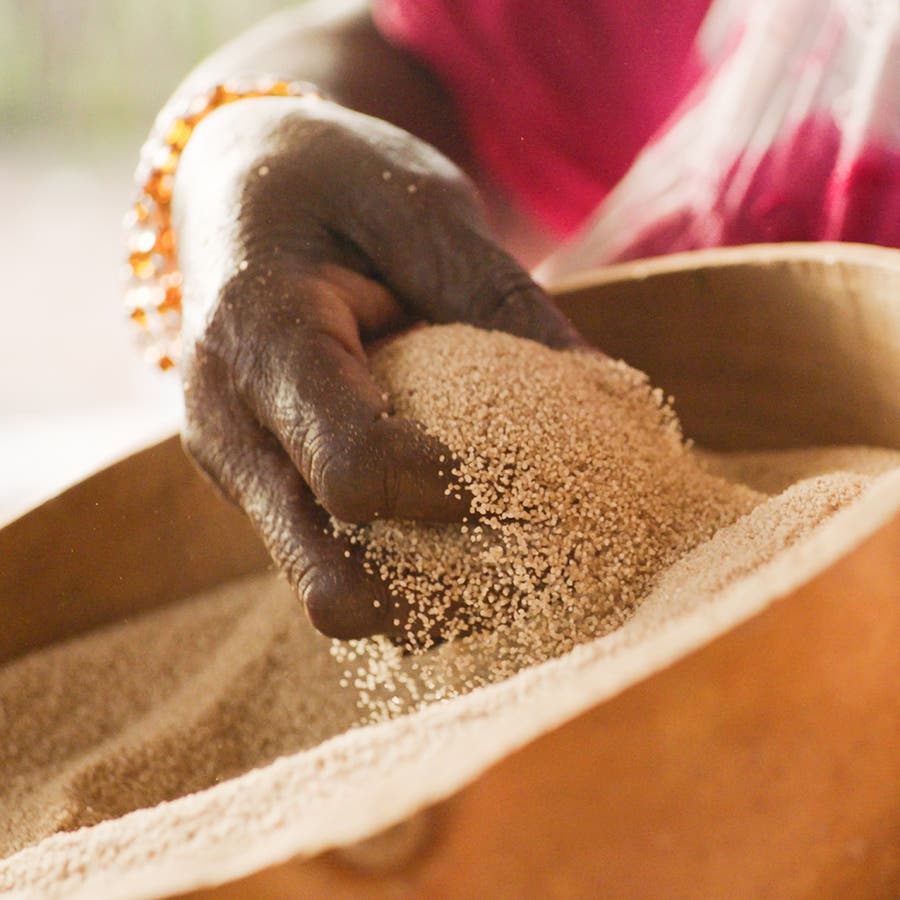 Certified Organic Fonio (Whole Grain & Milled Flour)