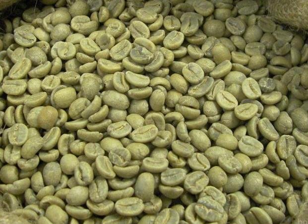 Specialty Green Coffee Beans (Raw / Unroasted)