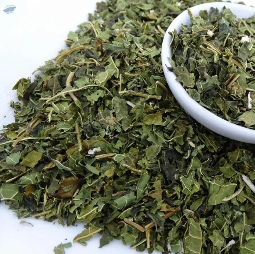 Dehydrated Papaya Leaf (Carica papaya)
