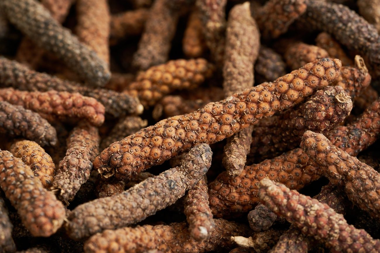 Wild-Harvested Ethiopian Long Pepper (Piper capense / Timiz)