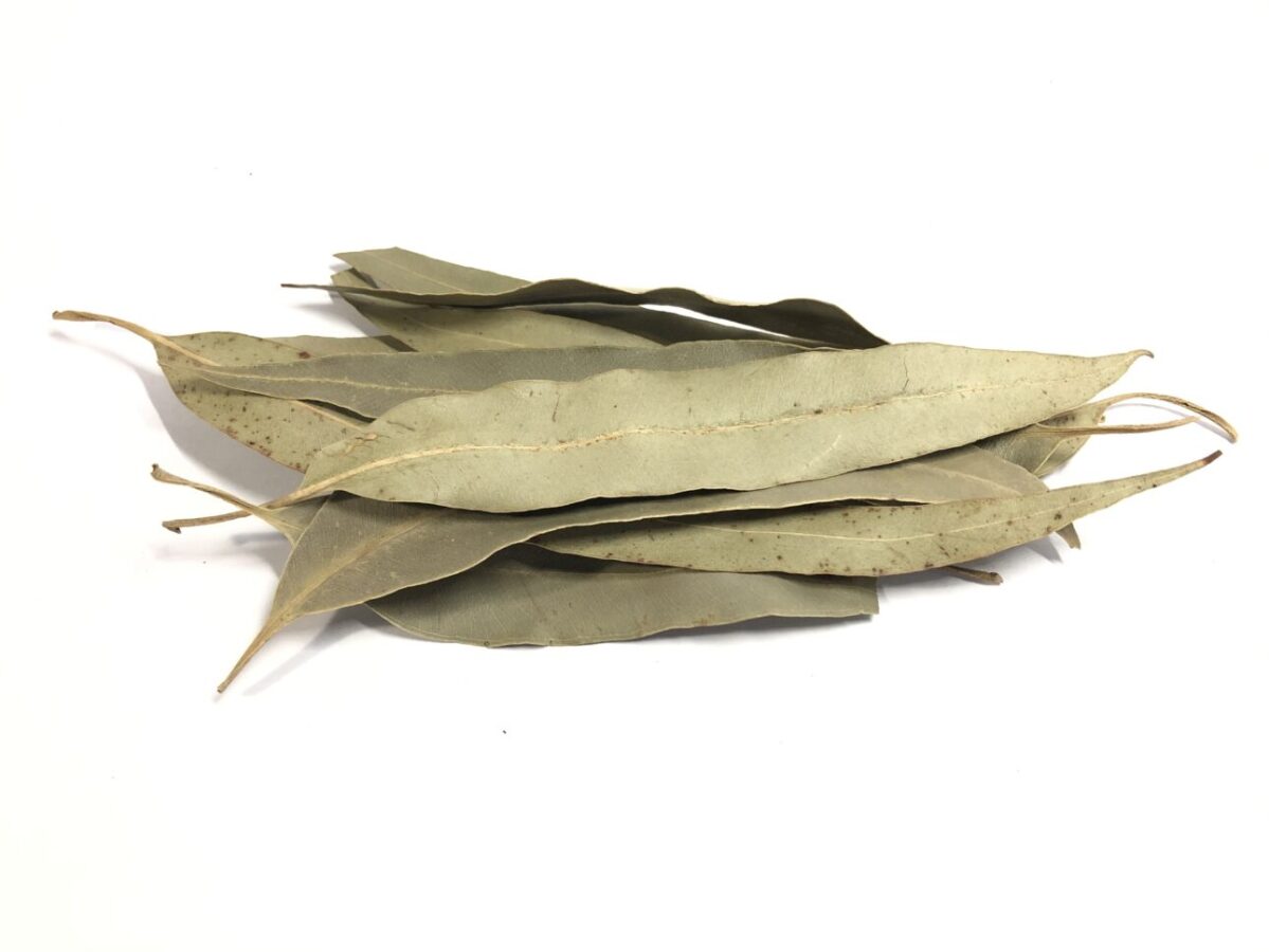 Dried Eucalyptus Leaves & Herb Cut