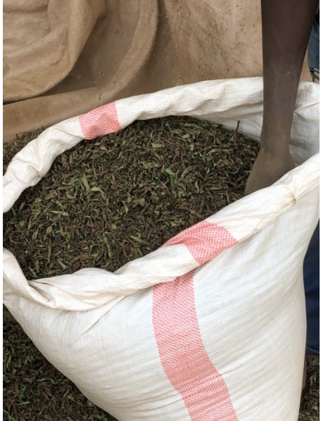 Organic Dried Stevia Leaf & Cut