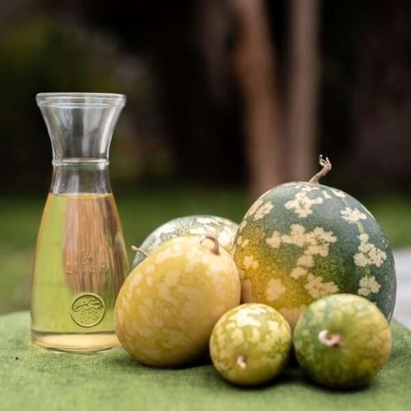 Virgin Kalahari Melon Seed Oil